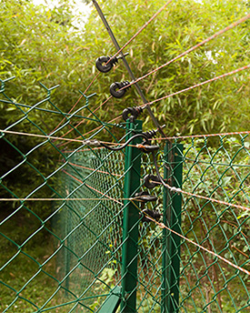 Clôture Électrique