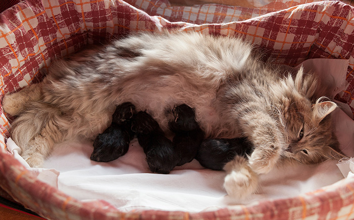 At Birth