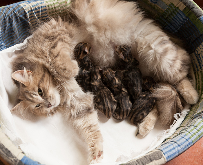 At Birth