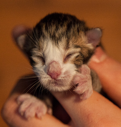 Ianto - First Day