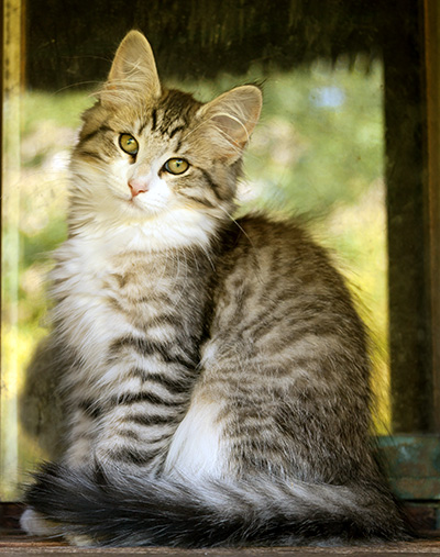 Isadora - 16 weeks old