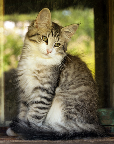 Isadora - 16 weeks old