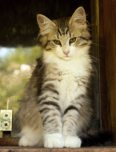 Isadora - 16 weeks old