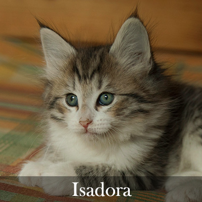 Isadora