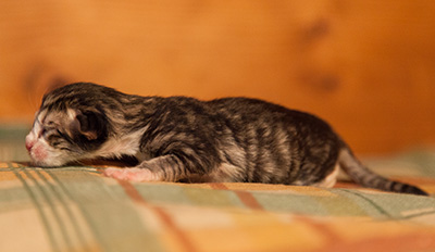 Isadora - First Day