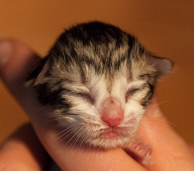 Isadora - First Day