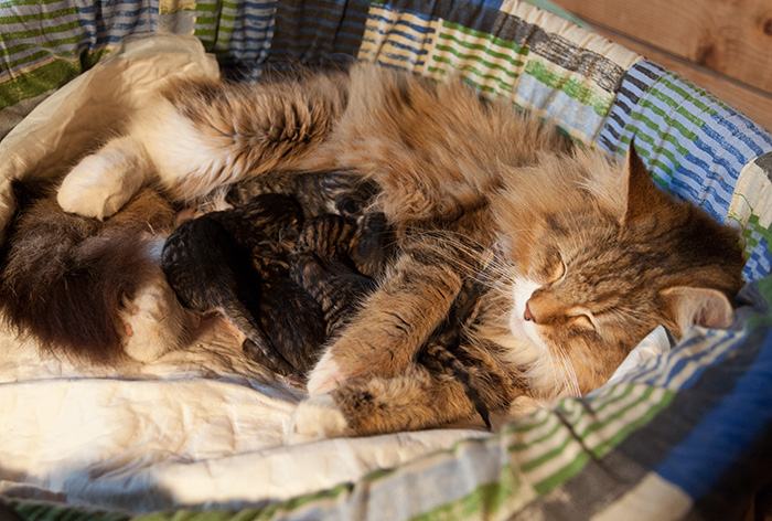 At Birth