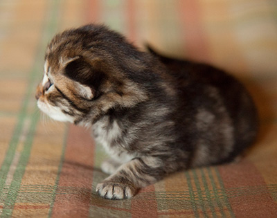 Ingalill - 3 weeks old