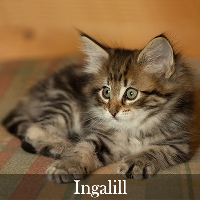 Ingalill