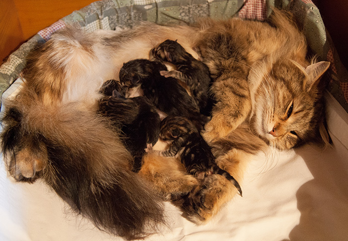 At Birth