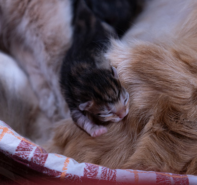 At birth
