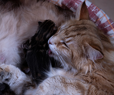 At birth