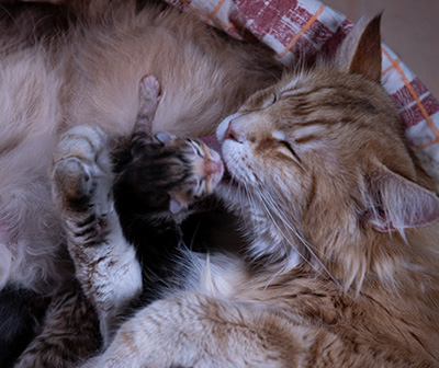 At birth