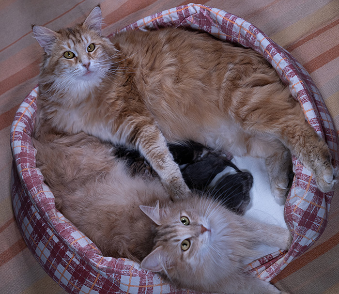 At birth