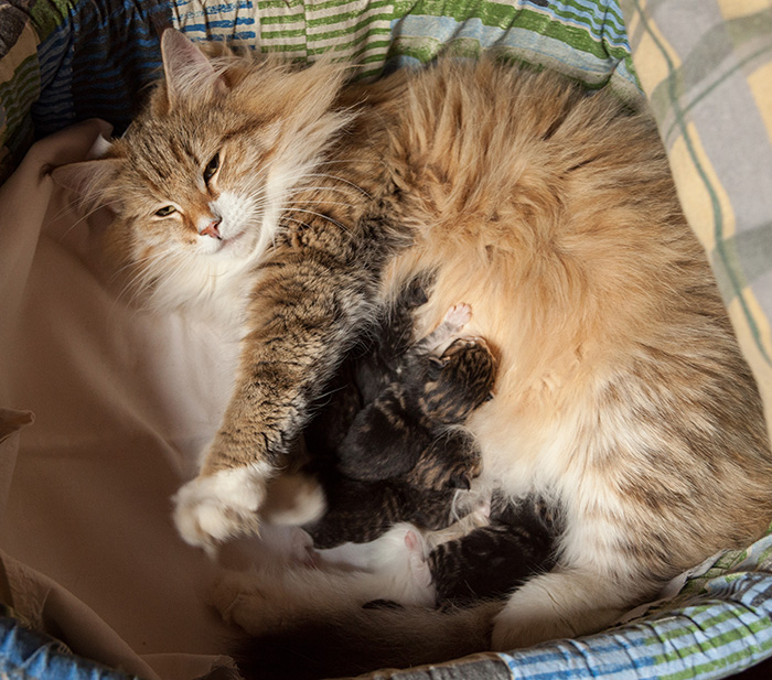 At Birth