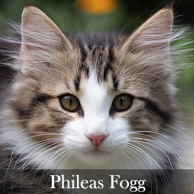 Phileas Fogg