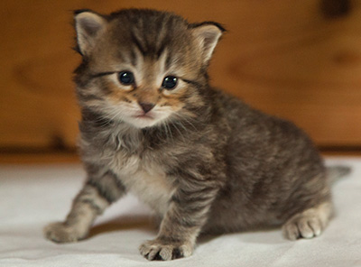 Iaroslav - 3 weeks old