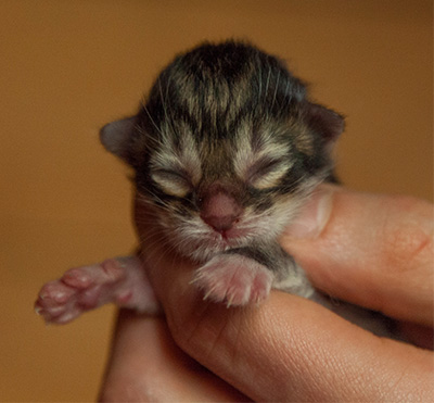 Irinouchka - First Day