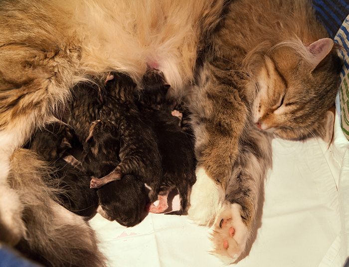 At Birth