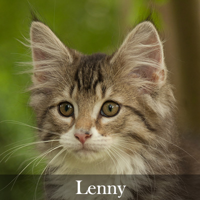 Lenny