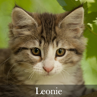 Leonie