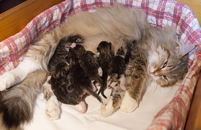 At Birth