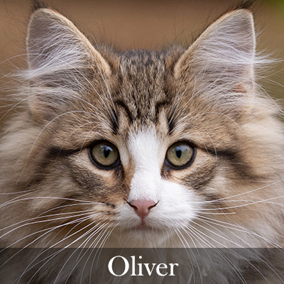 Oliver