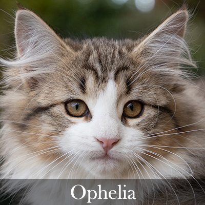 Ophelia