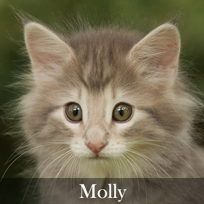 Molly