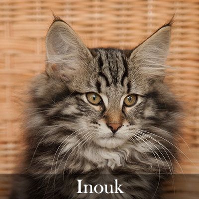 Inouk