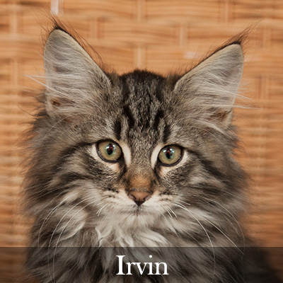 Irvin