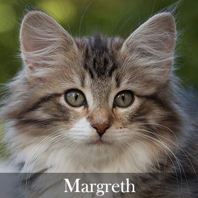 Margreth