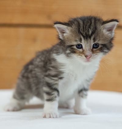 Marieth - 3 weeks old