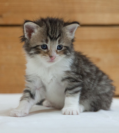 Marieth - 3 weeks old