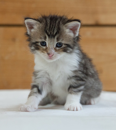 Marieth - 3 weeks old
