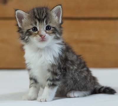 Marieth - 3 weeks old