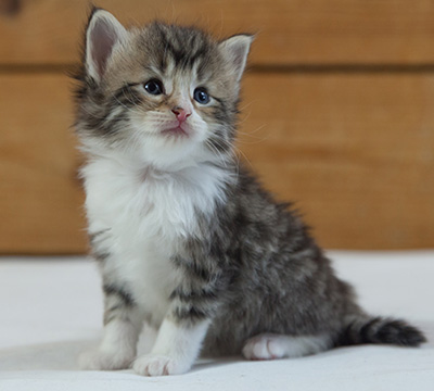 Marieth - 3 weeks old