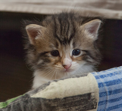 Marieth - 3 weeks old
