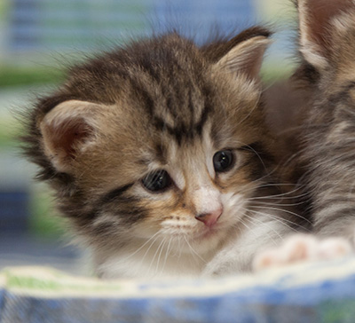 Marieth - 3 weeks old