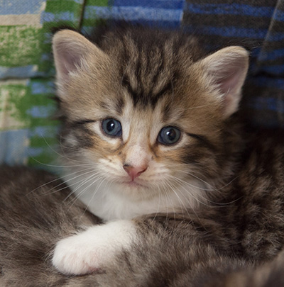 Marieth - 3 weeks old