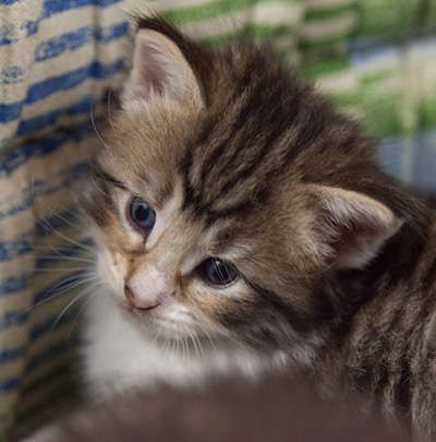 Marieth - 3 weeks old
