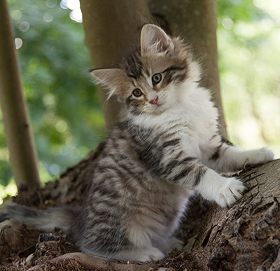 Marieth - 9 weeks old