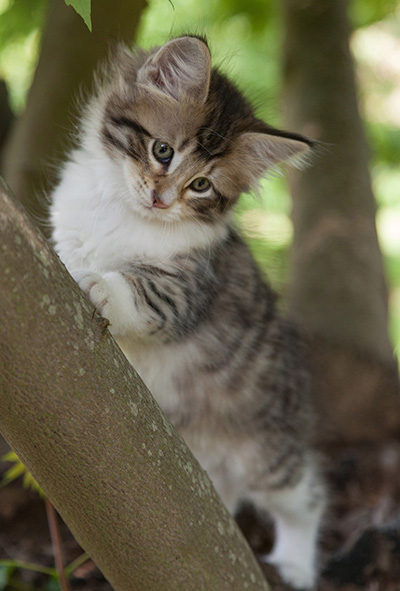 Marieth - 9 weeks old