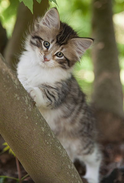 Marieth - 9 weeks old