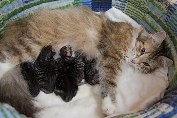 At Birth