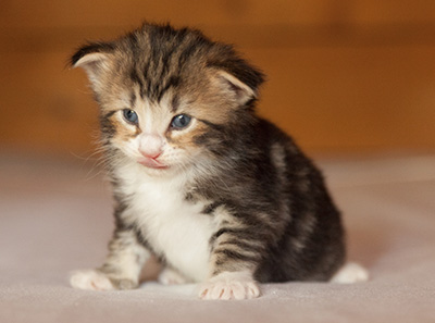 Leonor - 3 weeks old