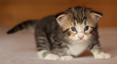 Leonor - 3 weeks old