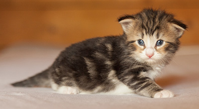 Leonor - 3 weeks old