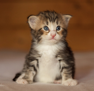 Leonor - 3 weeks old