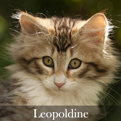 Leopoldine